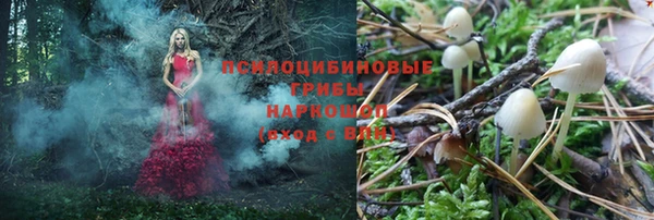 твердый Киренск
