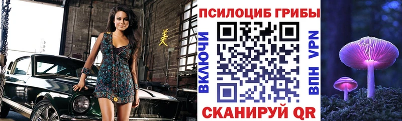 Галлюциногенные грибы Magic Shrooms  Купить закладки  Дегтярск 